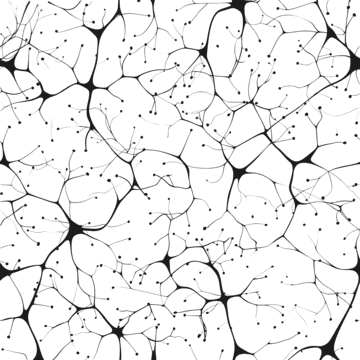Neural Network Background